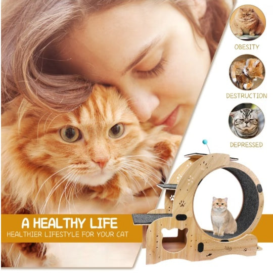 6-in-1 Upgraded Cat Exercise Wheel – Silent Running Wheel for Indoor Cats, Large Treadmill & Cat Furniture