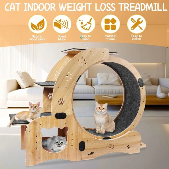 6-in-1 Upgraded Cat Exercise Wheel – Silent Running Wheel for Indoor Cats, Large Treadmill & Cat Furniture