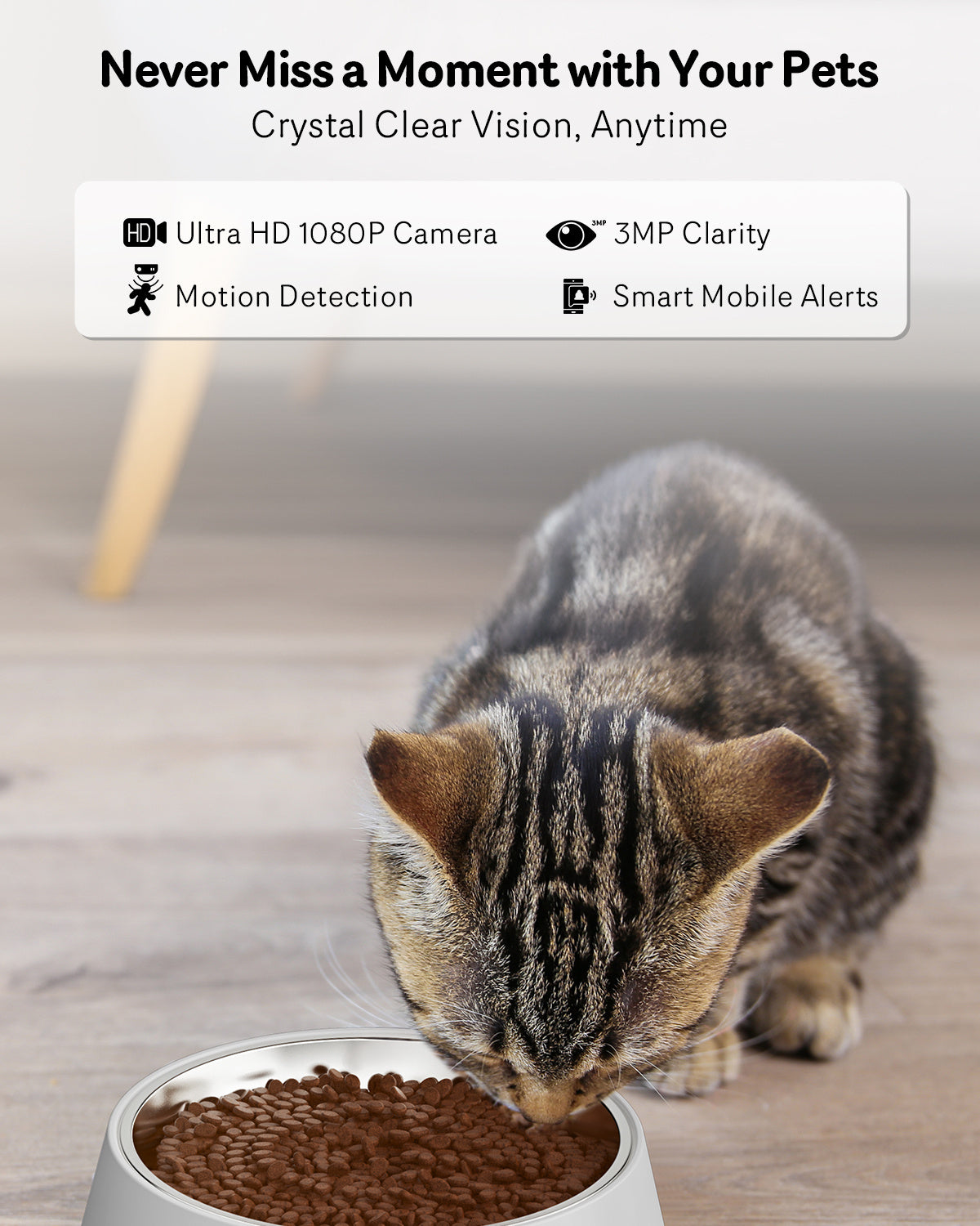 Automatic Cat Feeder with 1080P HD Camera, Night Vision, 5G WiFi, 2-Way Audio & 10s Voice Recorder – Low Food & Blockage Alerts